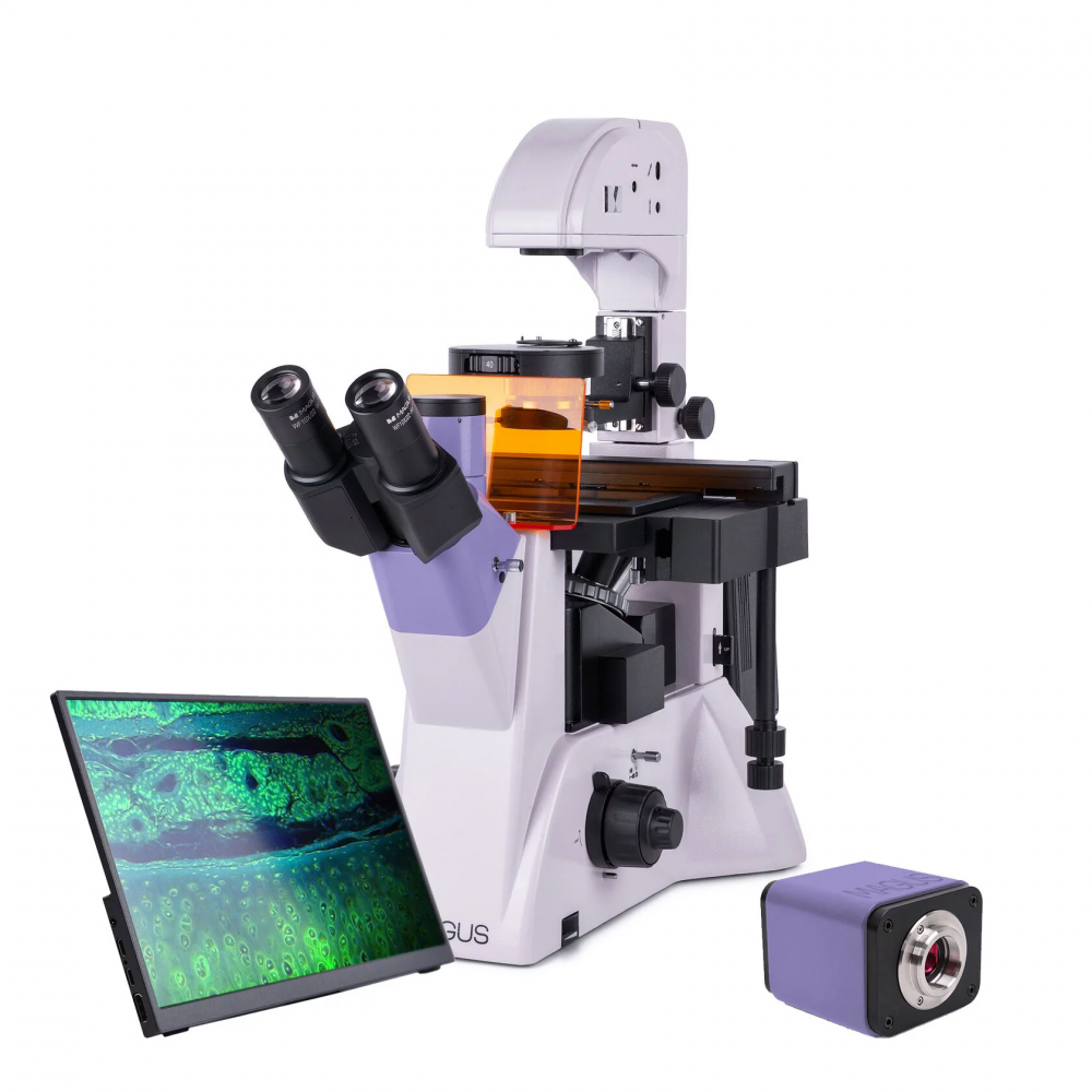 Люминесцентный микроскоп MAGUS LUM VD500 LCD 
